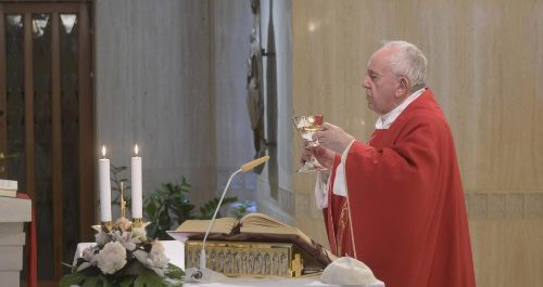 El Papa invita a "pregar pel final d'aquesta pandèmia i les altres"