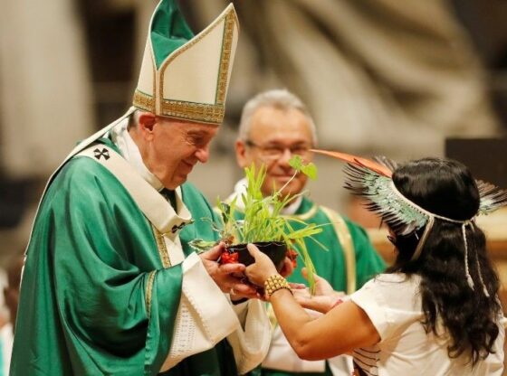 El Papa ofereix un Jubileu de la Terra "per un món just i pacífic"