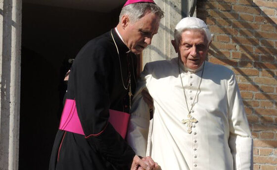 “Malentès” en relació amb el llibre del cardenal Sarah